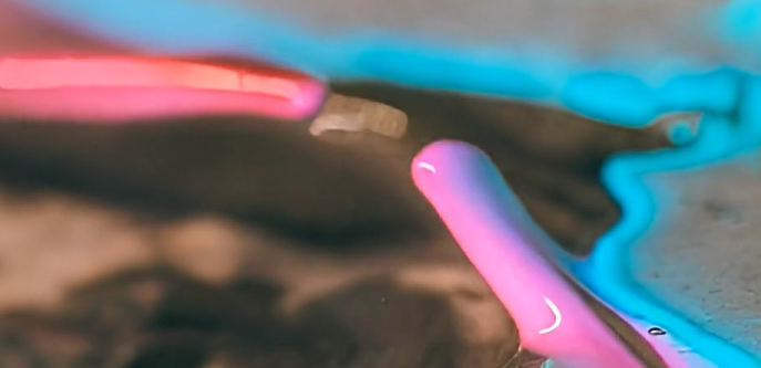 _public training 004